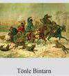 TÖNLE BINTARN - LIBRO ELETTRONICO E AUDIOLIBRO 
