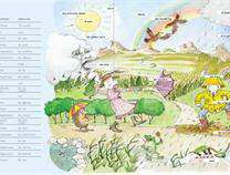 LE MIE PRIME PAROLE - LIBRO ILLUSTRATO 