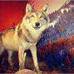 Mostra 2014: La Fauna delle Alpi